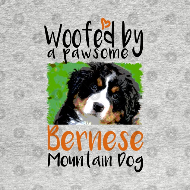 Bernese Mountain Dog Face by VanTees